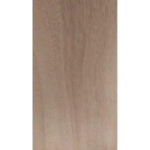 Anchor Plywood Plain Door 2100 x 850 x 38mm (No Modification)