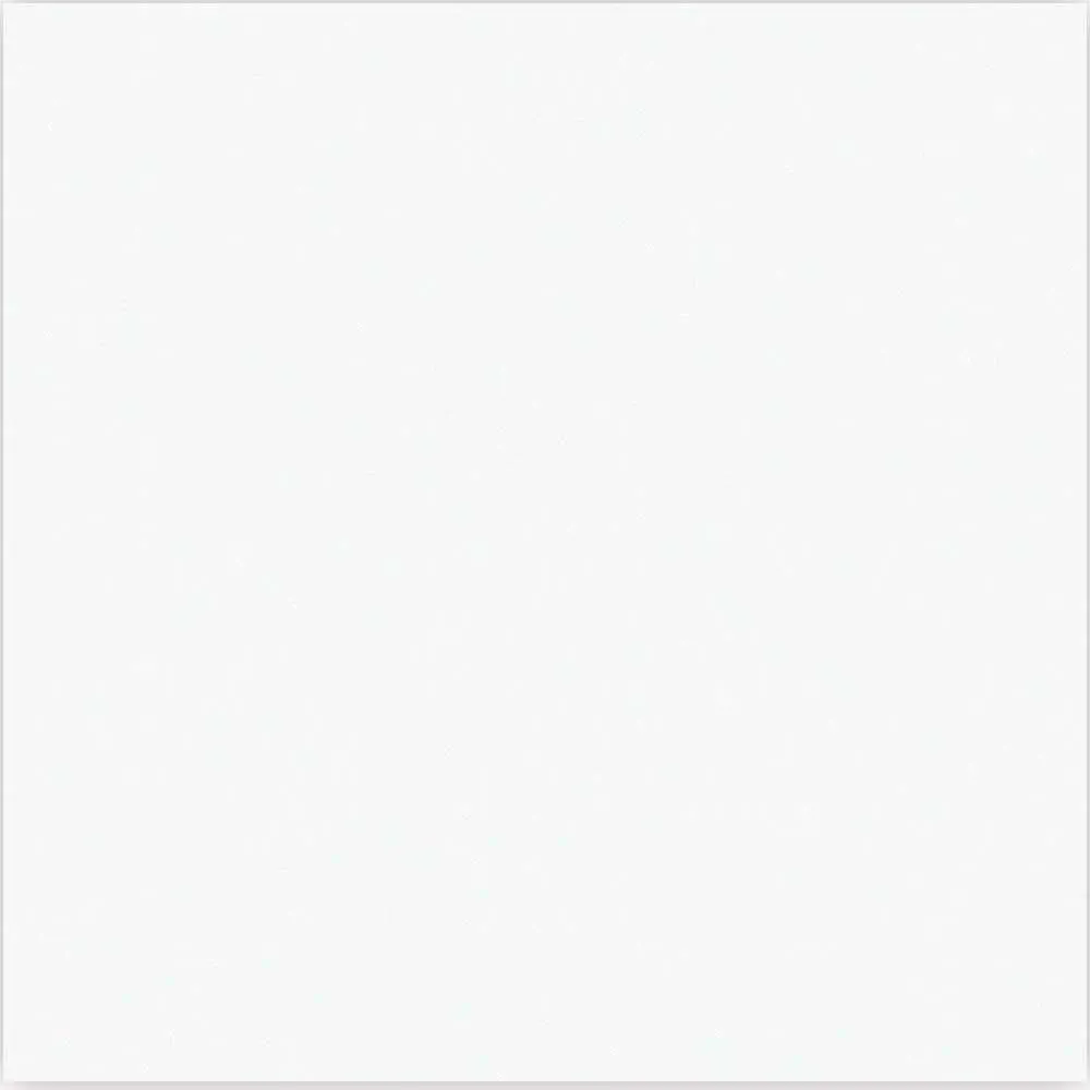 Bigtree Laminated Sheet 2440 x 1220 x 1mm Matt White