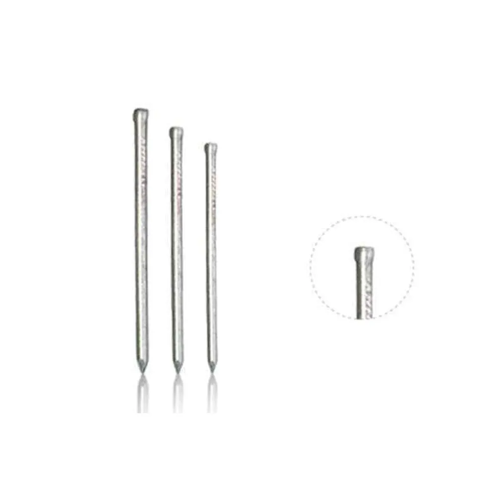 BIL Nails Jolt Head Galv 100mm x 500g