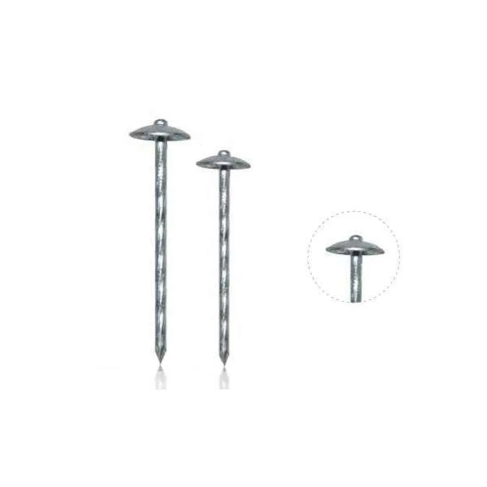 BIL Roofing Nails Galv Twisted 65mm x 1kg **