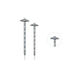 BIL Roofing Nails Galv Twisted 65mm x 1kg **