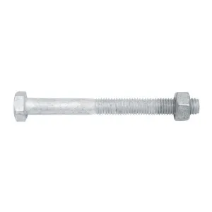 Bolt & Nut Galv Hex M10 x 100