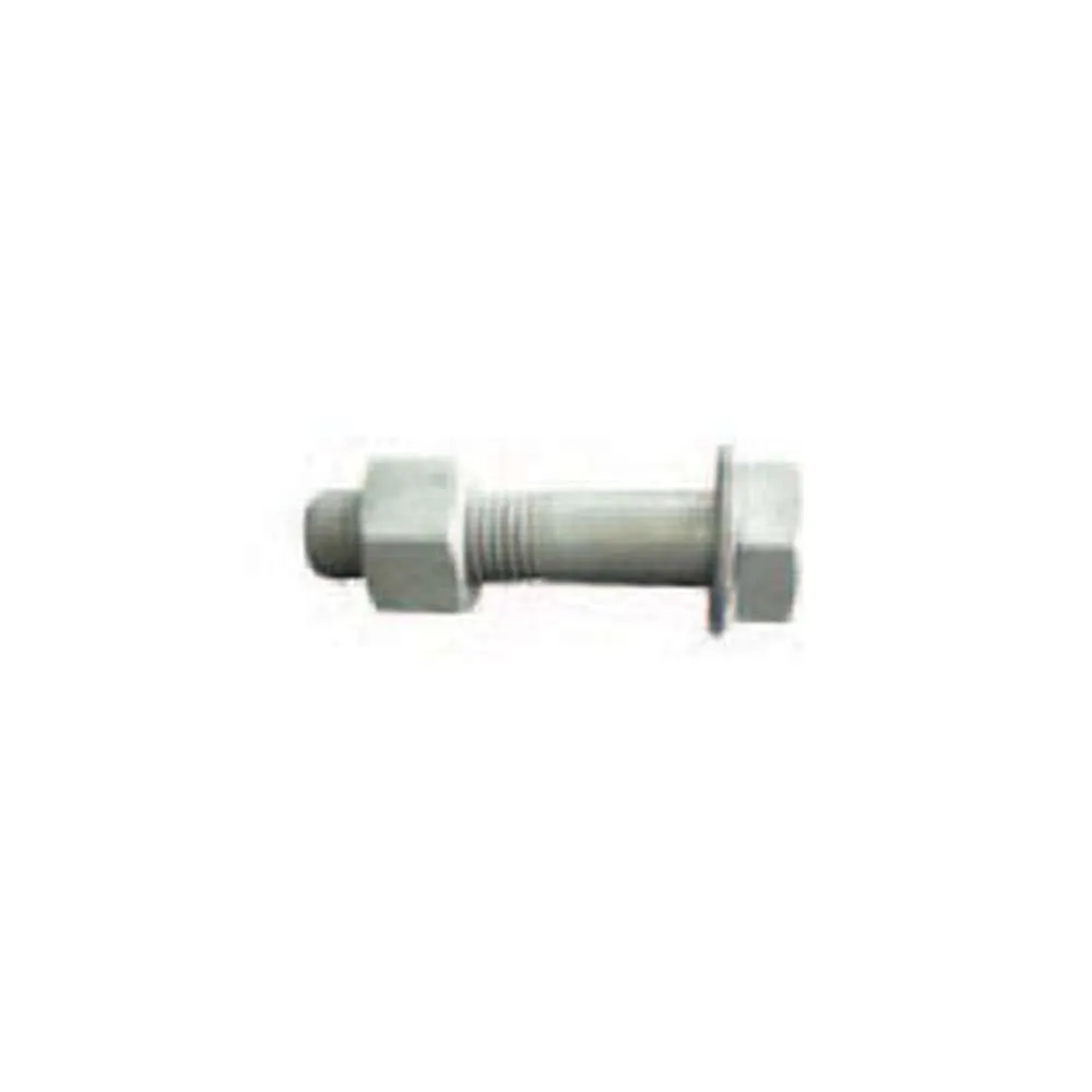 Bolt & Nut Galv Hex M12 x 200