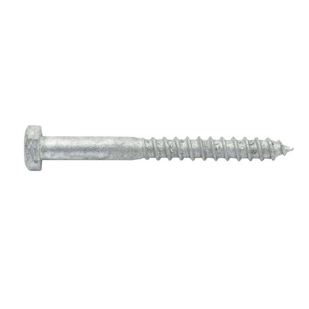 Coach Screw Galv M10 x 100