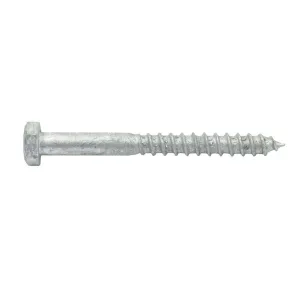 Coach Screw Galv M10 x 100
