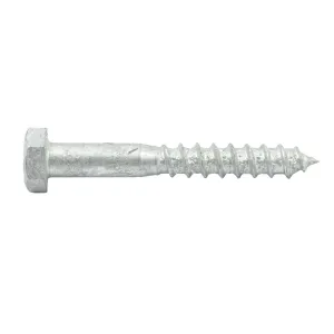 Coach Screw Galv M10 x 75