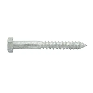 Coach Screw Galv M12 x 100