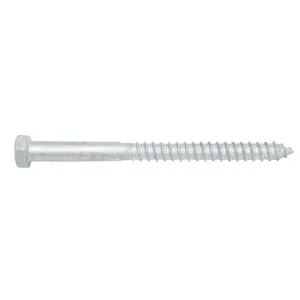 Coach Screw Galv M12 x 150