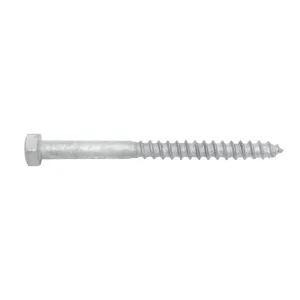 Coach Screw Galv M8 x 100