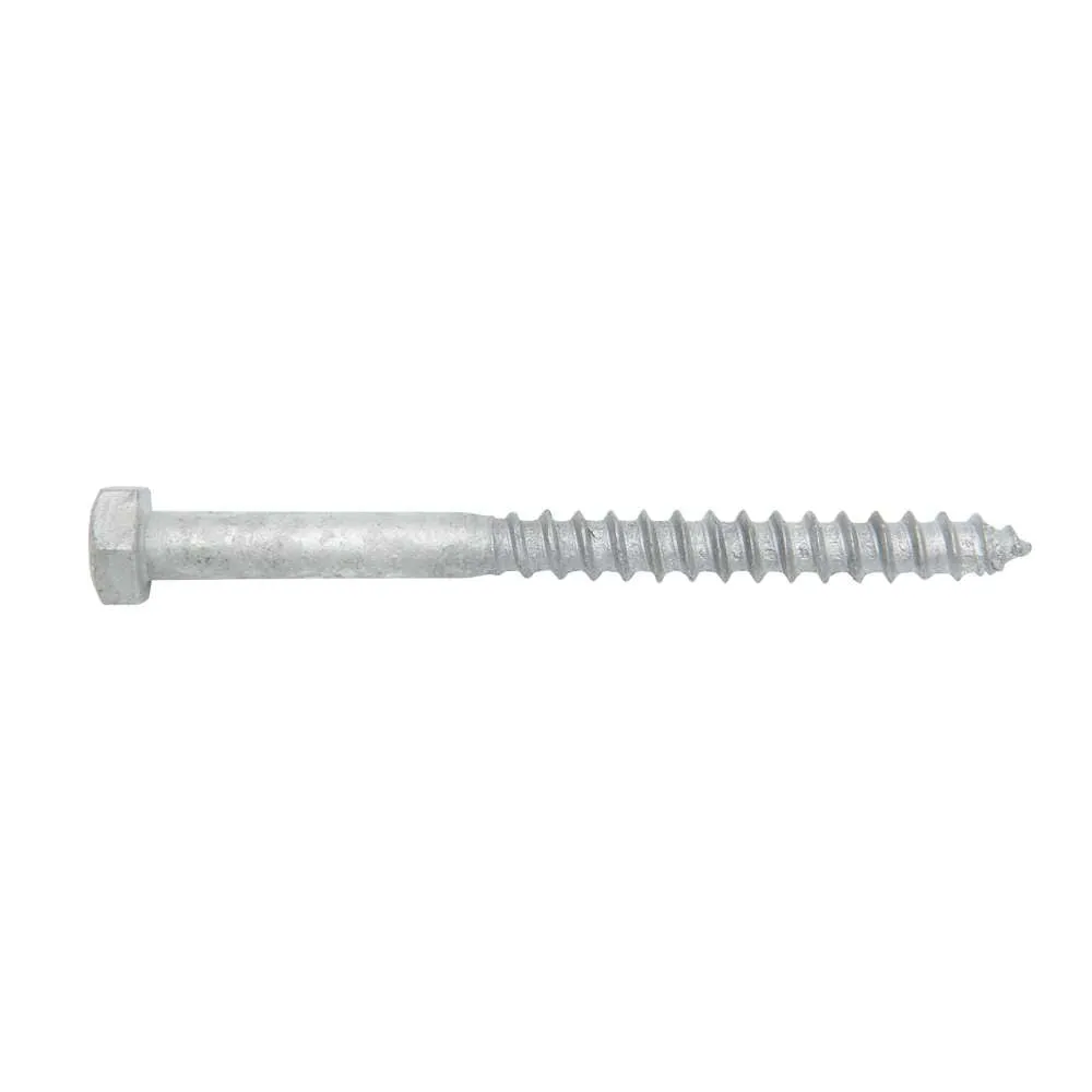 Coach Screw Galv M8 x 100