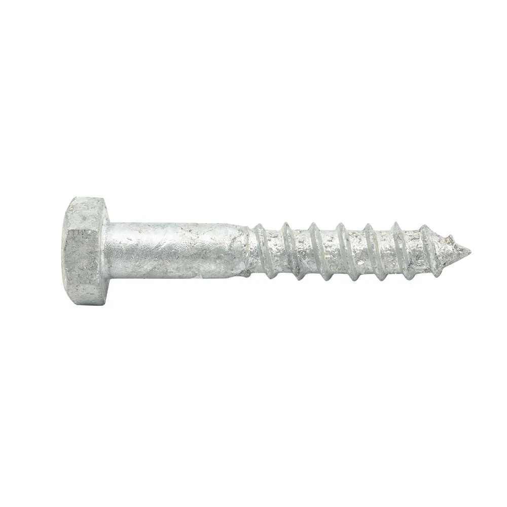 Coach Screw Galv M8 x 50