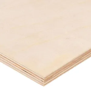 Exterior Ply 2400 x 1200 x 16mm BD Grade