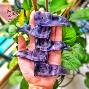 Fluorite Khonshu Bird Skulls