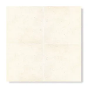 Temple Ezra 60 x 60cm Diamond Sawn Honed