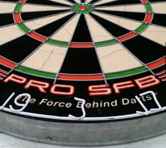 WINMAU PRO SFB Dartboard   x