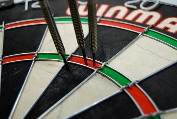 WINMAU PRO SFB Dartboard   x