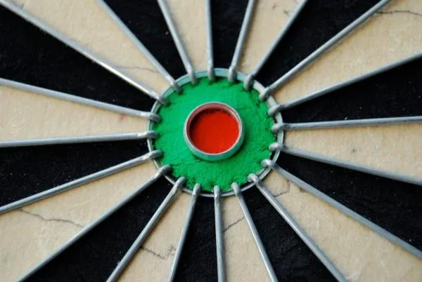 WINMAU PRO SFB Dartboard   x