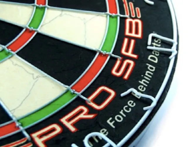 WINMAU PRO SFB Dartboard   x